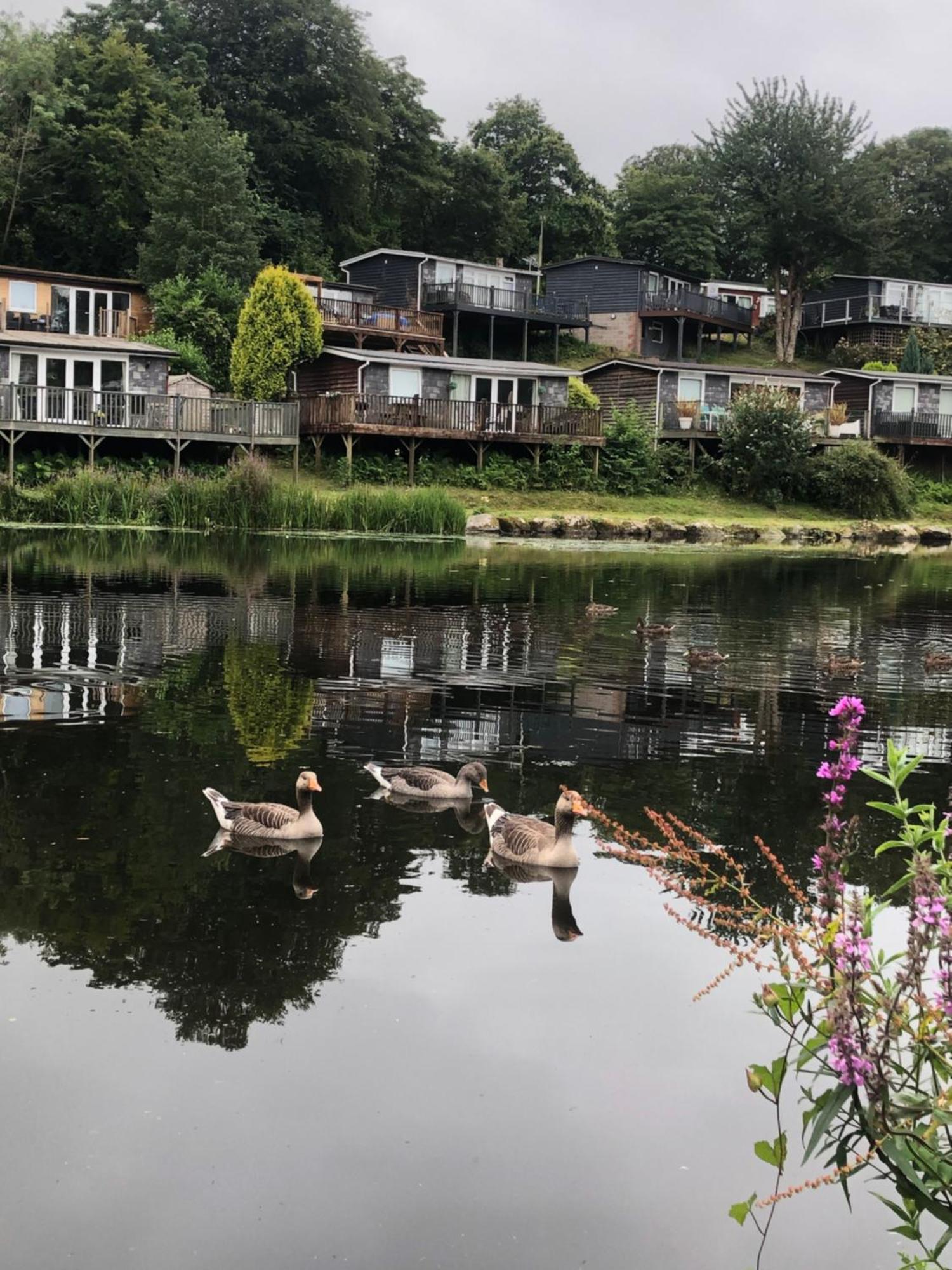 Chalet 64, Lakeside, Glan Gwna Holiday Park Caernarfon Luaran gambar